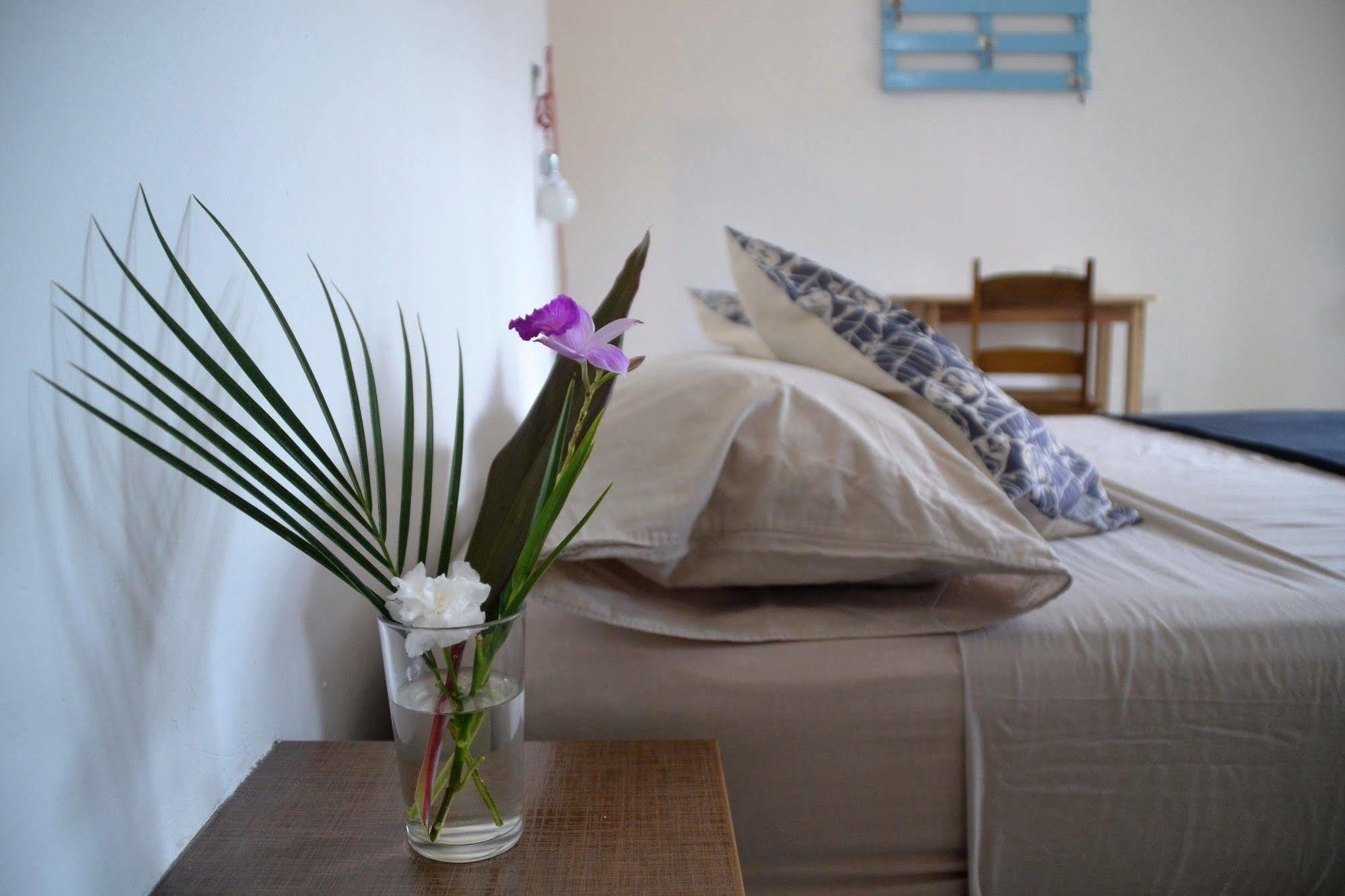 Hotel Indalo Adults Only Puerto Viejo de Talamanca Екстериор снимка